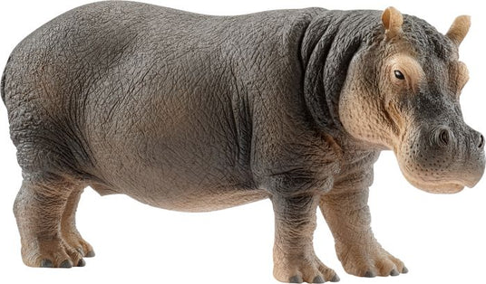 Schleich | Flusspferd | 14814
