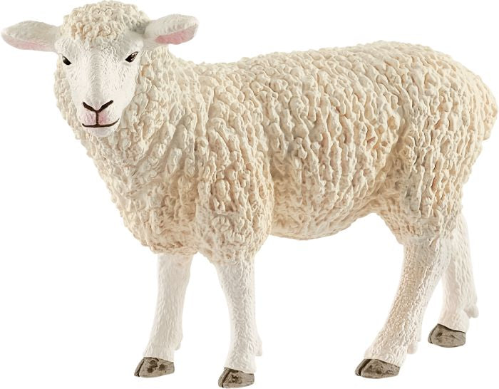 Schleich | Schaf | 13882