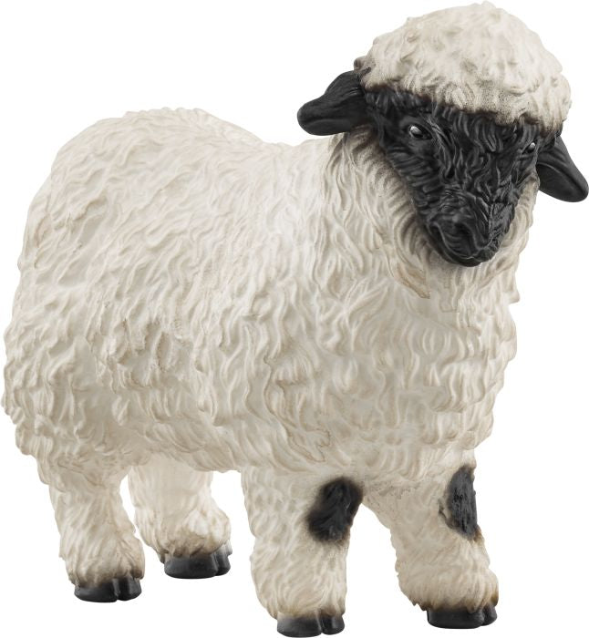 Schleich | Walliser Schwarznasenschaf | 13965