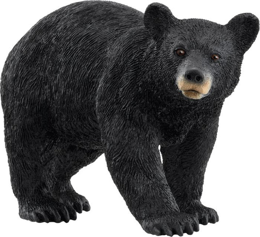 Schleich | Amerikanischer Schwarzbär | 14869
