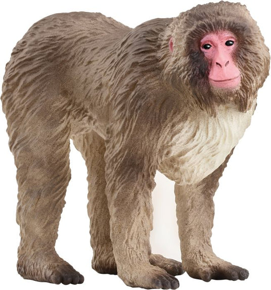 Schleich | Japanmakak | 14871