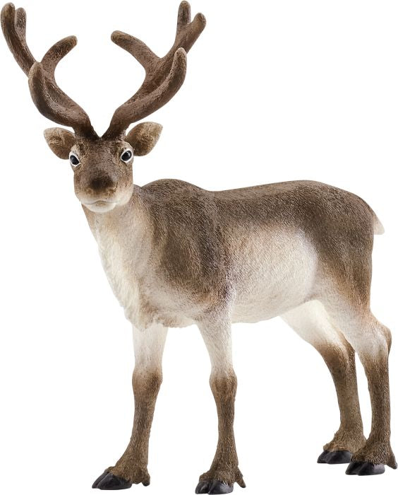 Schleich | Rentier | 14837