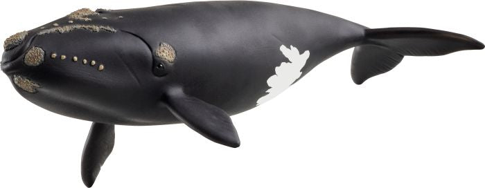 Schleich | Nordatlantischer Glattwal | 14878