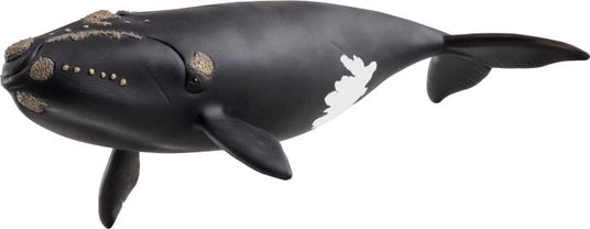 Schleich | Nordatlantischer Glattwal | 14878
