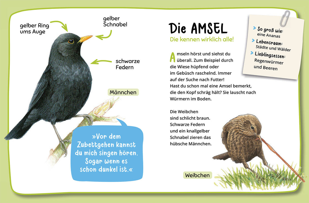 KOSMOS | Mein 1. Naturführer Was fliegt denn da?