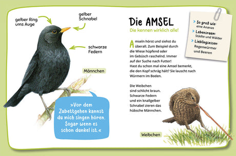 KOSMOS | Mein 1. Naturführer Was fliegt denn da?