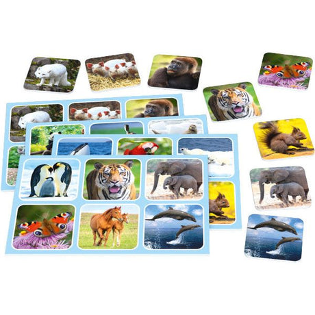 Schmidt Spiele | Zoo Lotto