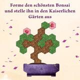 KOSMOS | Bonsai