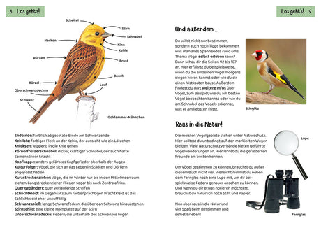 KOSMOS | Kindernaturführer Was fliegt denn da?