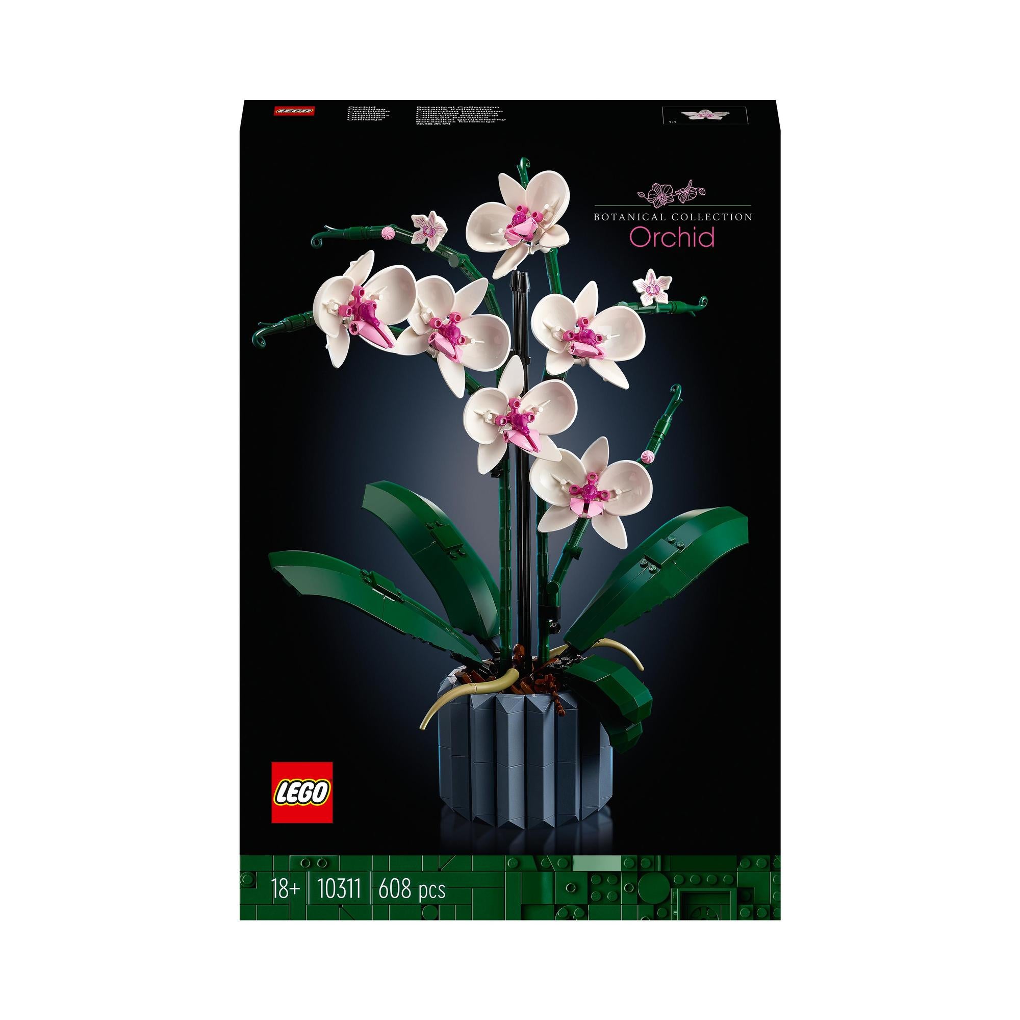 LEGO® | 10311 | Orchidee