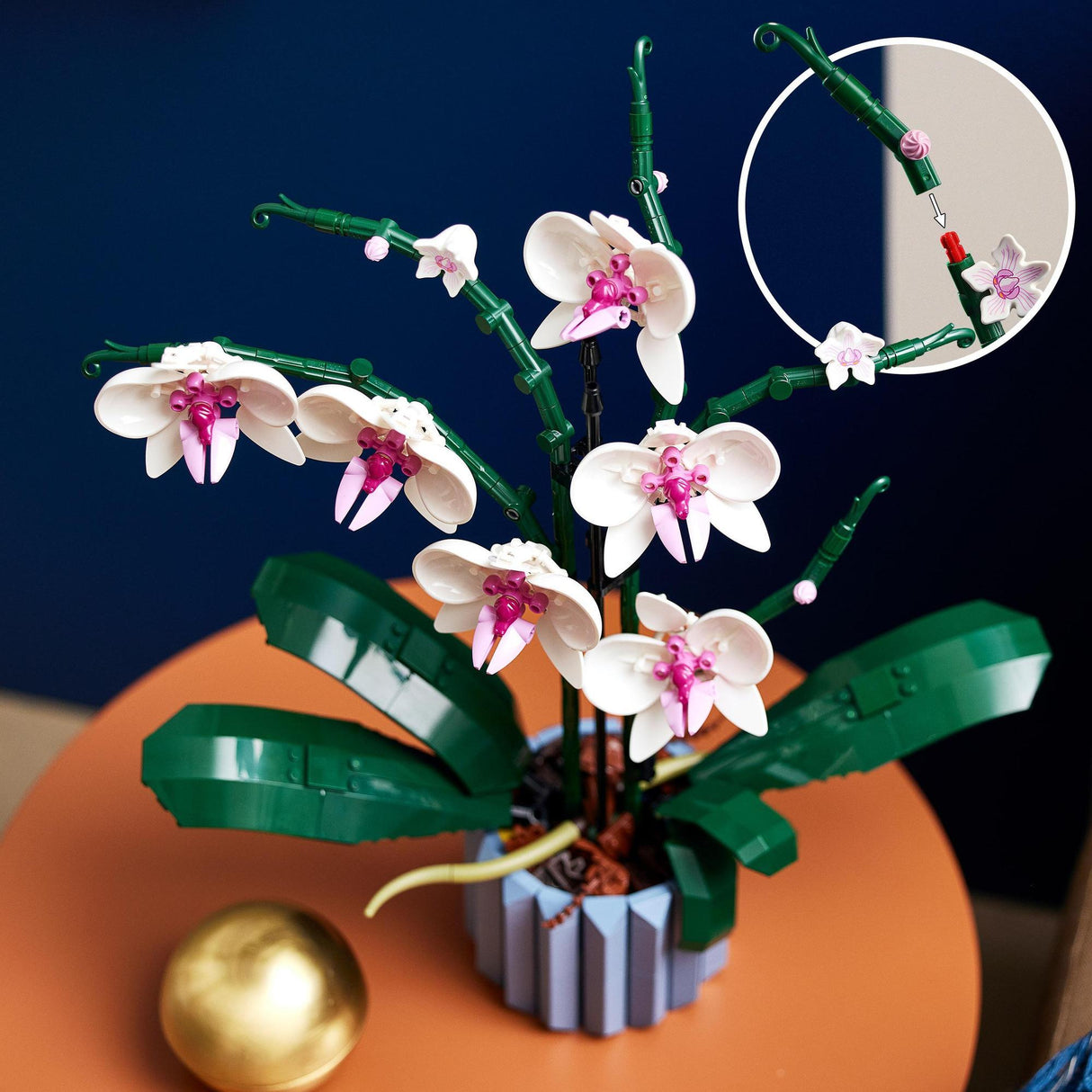 LEGO® | 10311 | Orchidee
