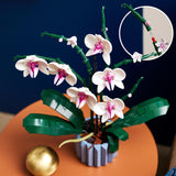 LEGO® | 10311 | Orchidee