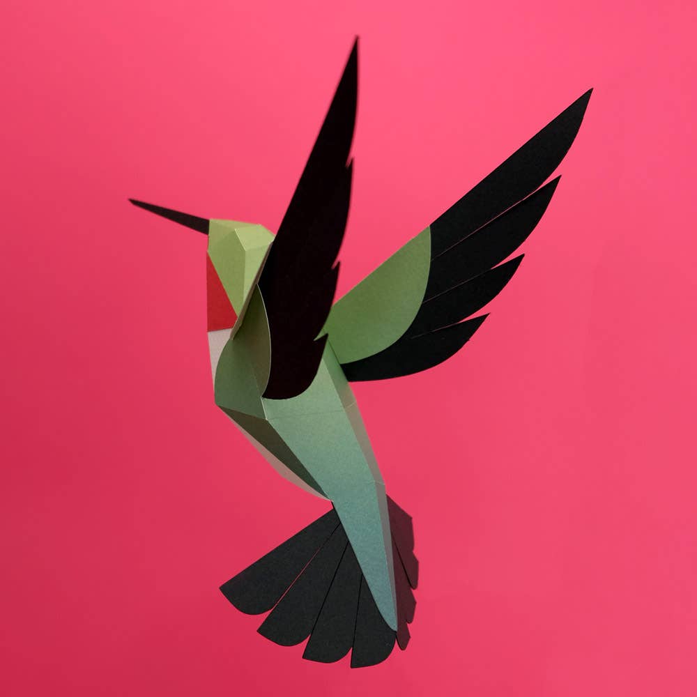 PLEGO - SELASPHORUS PLATYCERCUS - Papiervogel