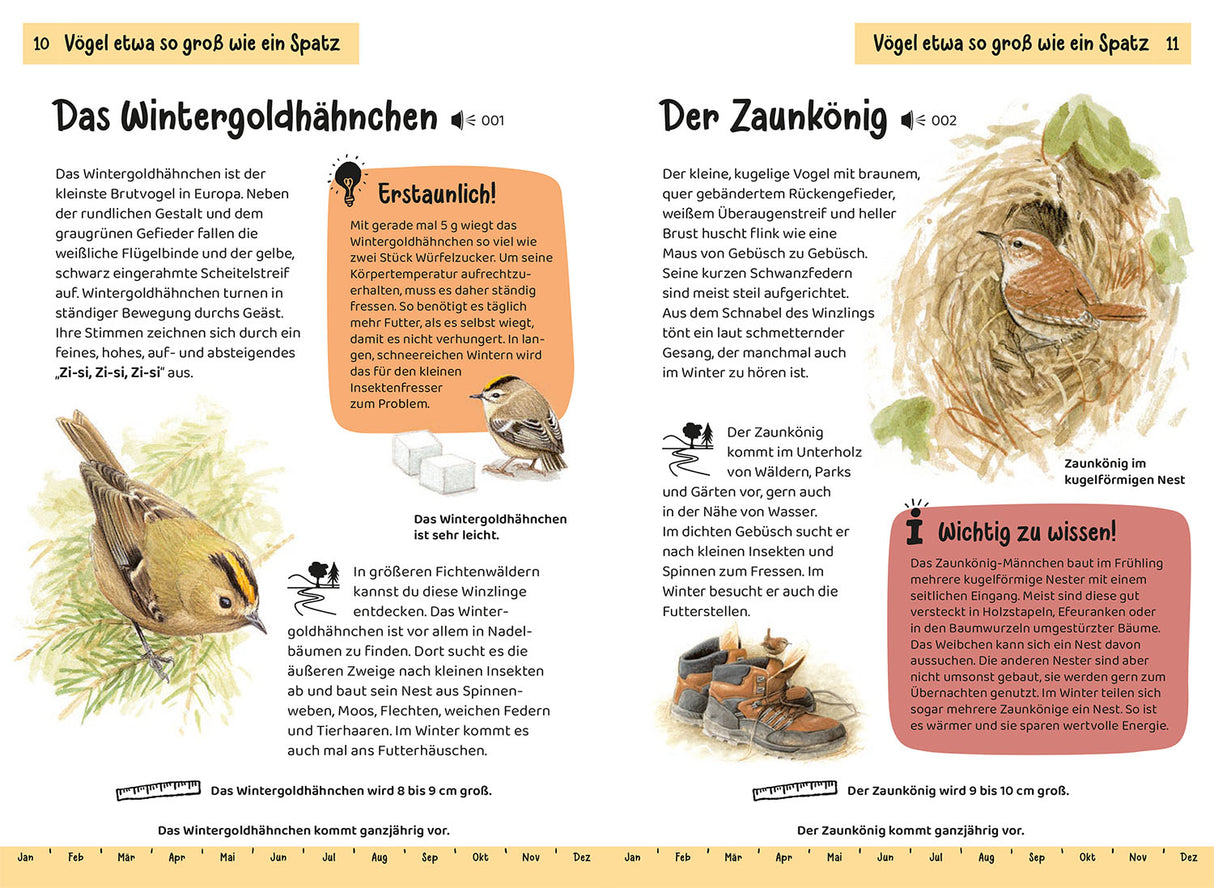 KOSMOS | Kindernaturführer Was fliegt denn da?
