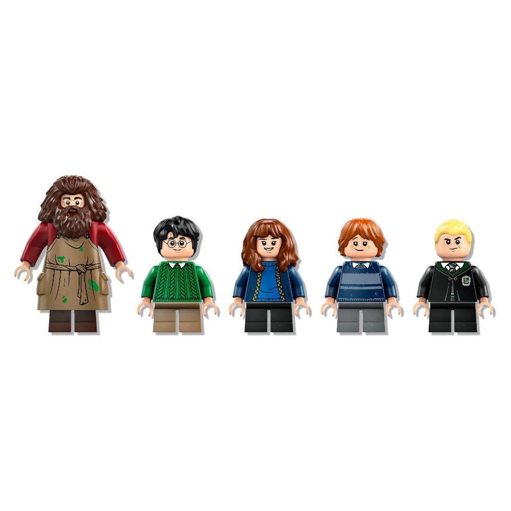 LEGO® | 76428 | Hagrids Hütte: Ein unerwarteter Besuch