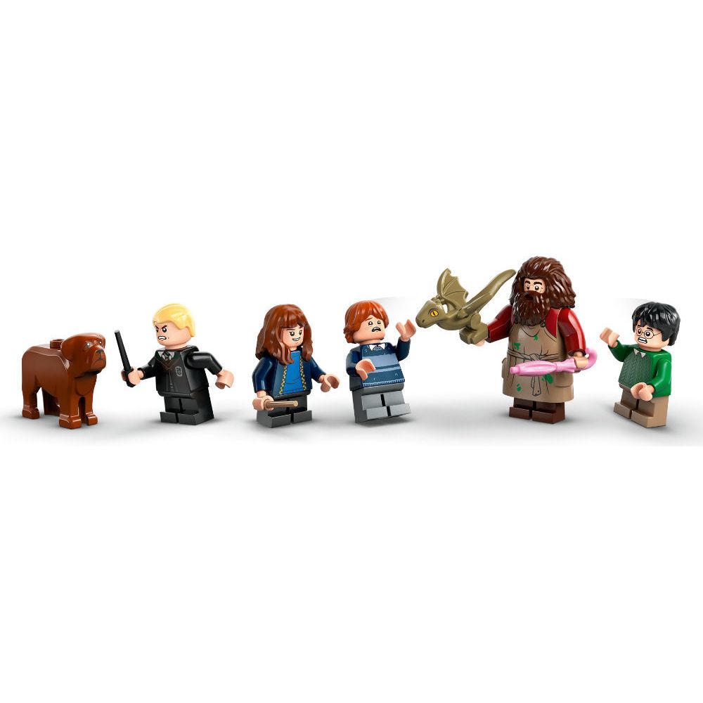 LEGO® | 76428 | Hagrids Hütte: Ein unerwarteter Besuch