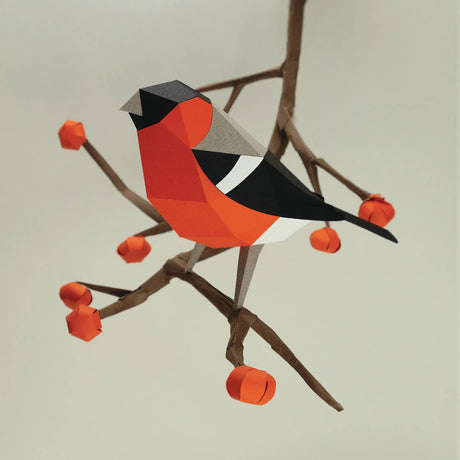 PLEGO - PYRRHULA PYRRHULA - Papiervogel