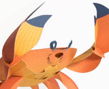 PLEGO - CANCRIDAE - Papierkrabbe