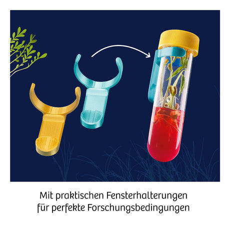 KOSMOS | Fun Science Aqua-Gel-Pflanzen