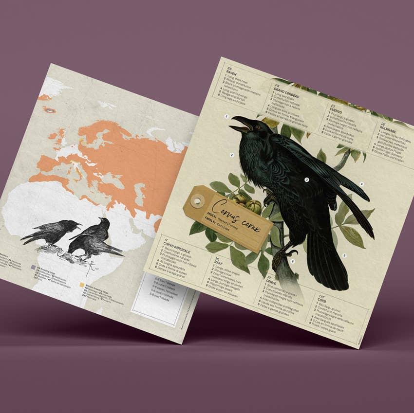 PLEGO - CORVUS CORAX - Rabe - Papiervogel