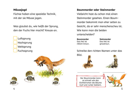 KOSMOS | Bücherhelden 2.Kl. Naturrätsel Wald