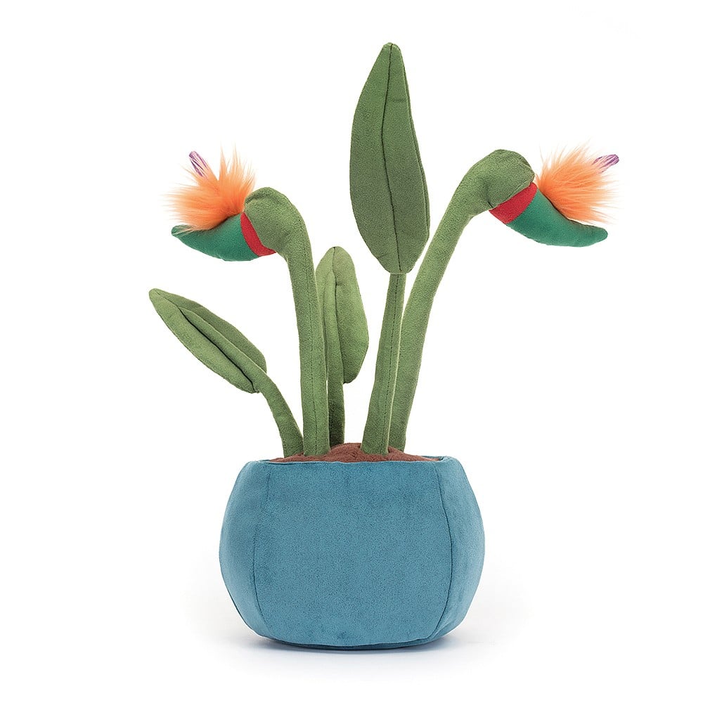 Jellycat | Amuseable Bird of Paradise