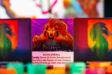 GROLL Paldeyn Fraktion Erweiterung Spielbox mit Charakterportrait Schildwall