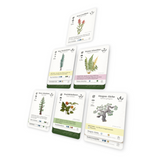 Reforest Board Game Spielkarten mit Waldpflanzen und Bäumen