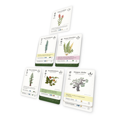 Reforest Board Game Spielkarten mit Waldpflanzen und Bäumen