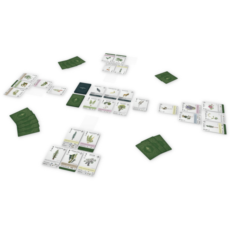 Board Game Circus Reforest Brettspiel mit Karten und grünen Spielfeldern