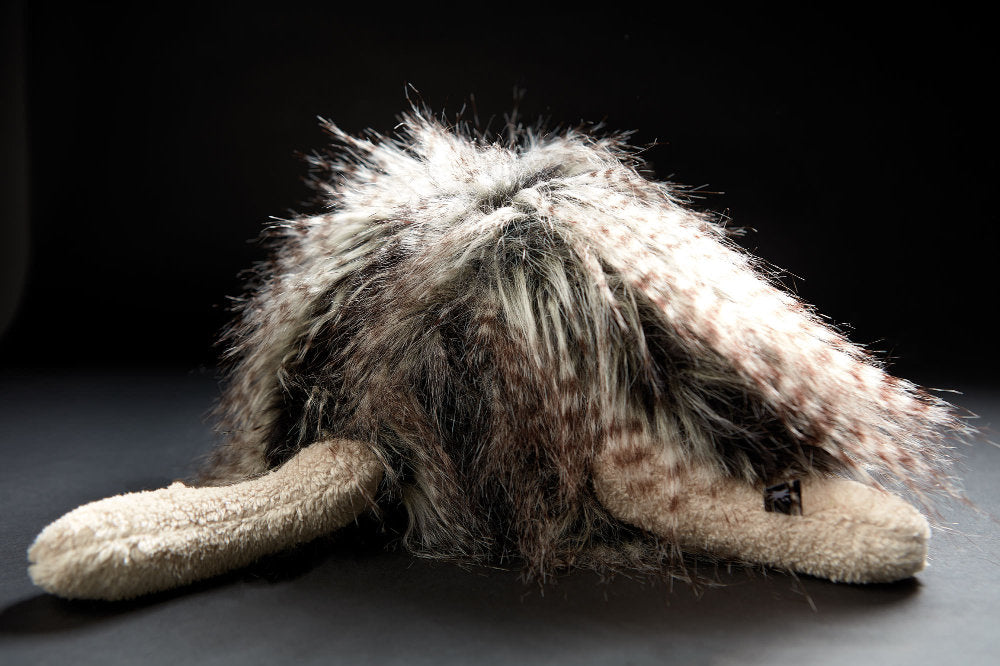 Sigikid | BeastsTown | Duchess of Hampershire