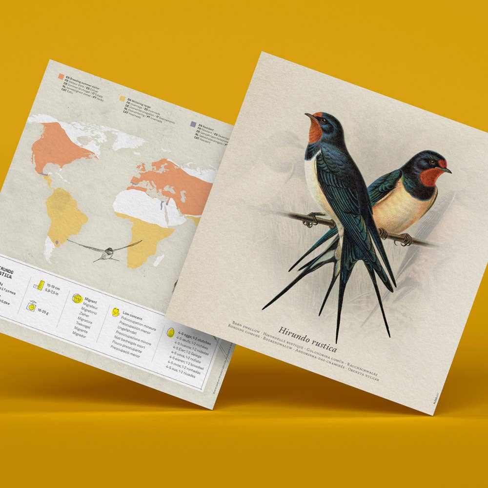 PLEGO - HIRUNDO RUSTICA - Schwalbe - Papiervogel