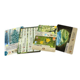 Lookout Spiele | Mischwald - Entdeckungen