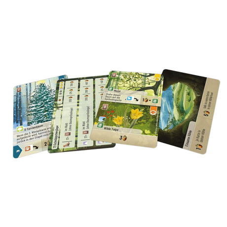 Lookout Spiele | Mischwald - Entdeckungen