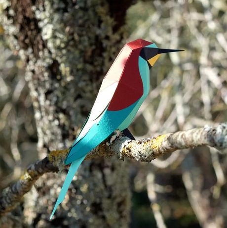PLEGO - MEROPS APIASTER - BIENENFRESSER - Papiervogel
