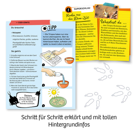 KOSMOS | Fun Science Triops züchten