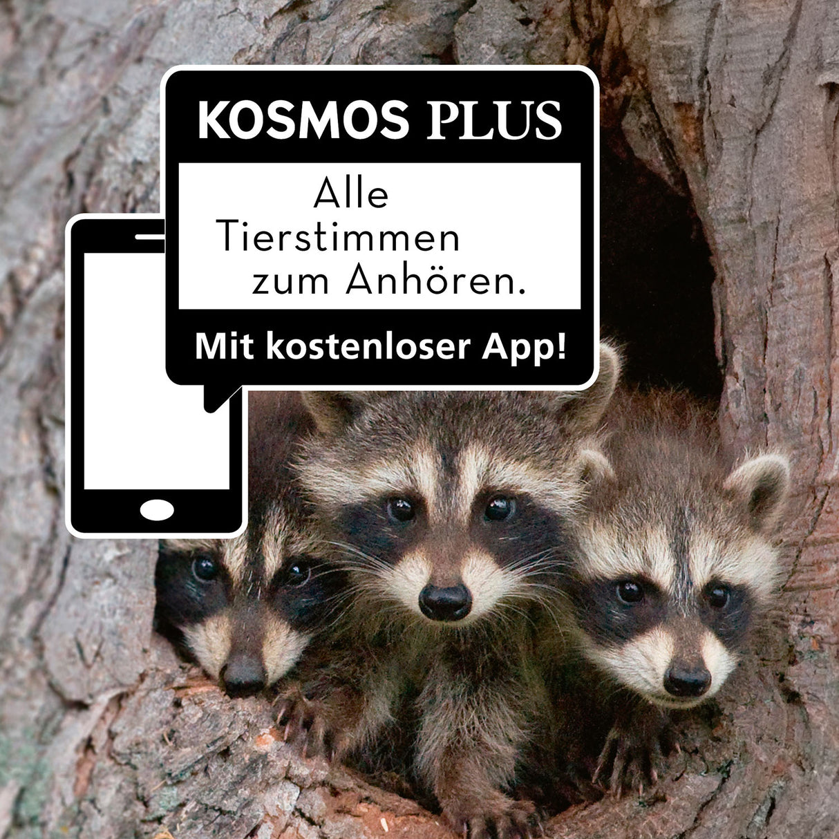 KOSMOS | Kindernaturführer Tier und Pflanzenführer