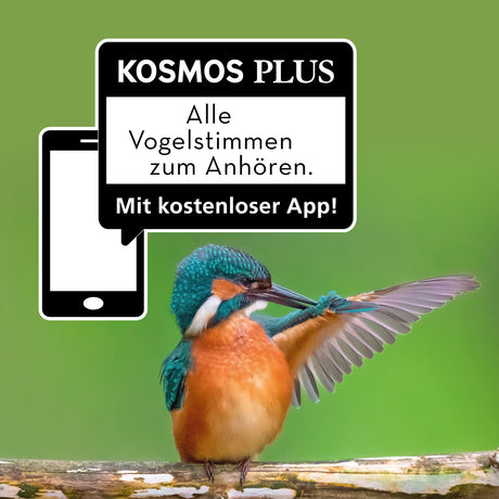 KOSMOS | Kindernaturführer Was fliegt denn da?