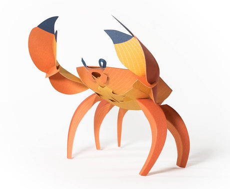 PLEGO - CANCRIDAE - Papierkrabbe