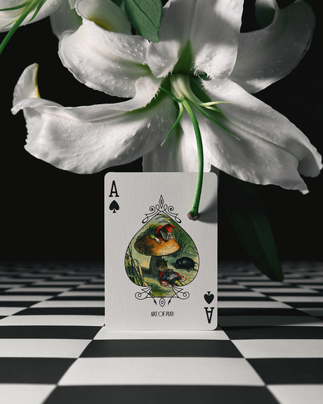 Art of Play | Spielkarten | Grimmlore Tartan