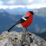 PLEGO - PYRRHULA PYRRHULA - Papiervogel