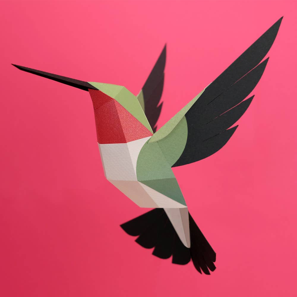 PLEGO - SELASPHORUS PLATYCERCUS - Papiervogel
