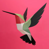 PLEGO - SELASPHORUS PLATYCERCUS - Papiervogel