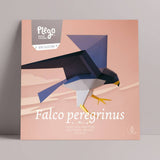 PLEGO - FALCO PEREGRINUS Wandefalke |Papiervogel