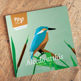 PLEGO - ALCEDO ATTHIS - Eisvogel - Papiervogel