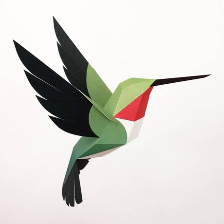 PLEGO - SELASPHORUS PLATYCERCUS - Papiervogel