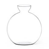 Cloudberries - Vasecado® Grow an Avocado-Pflanze, handgeblasene Vase aus klarem Glas