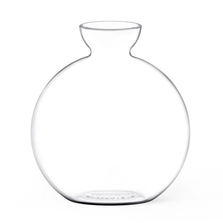 Cloudberries - Vasecado® Grow an Avocado-Pflanze, handgeblasene Vase aus klarem Glas