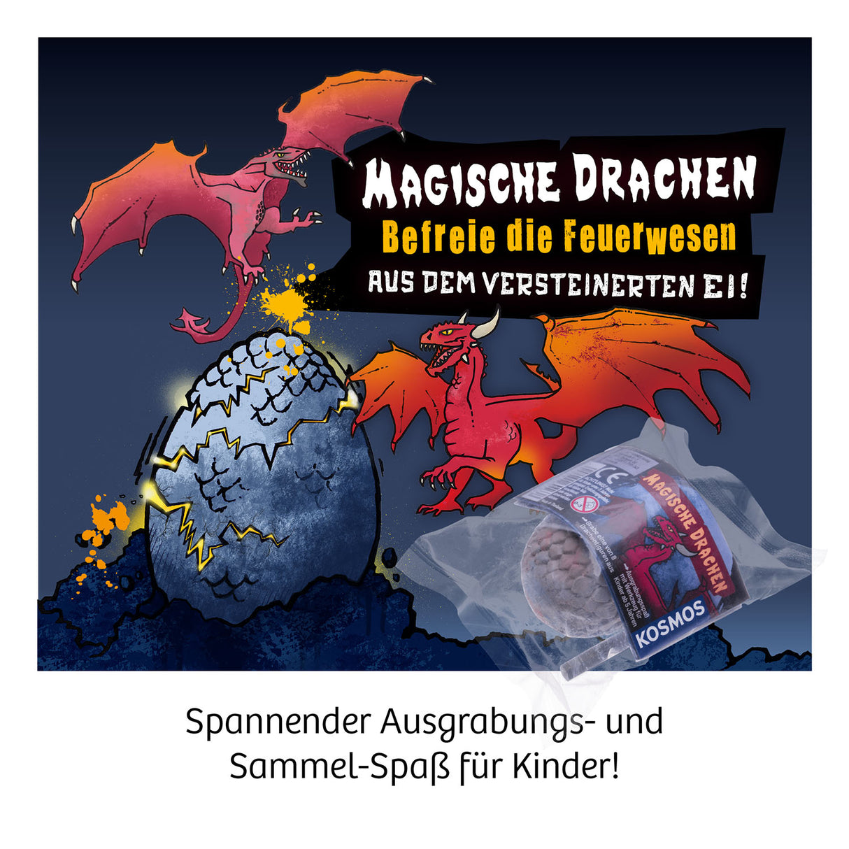 KOSMOS | Drachen-Ausgrabung (24-er Display)