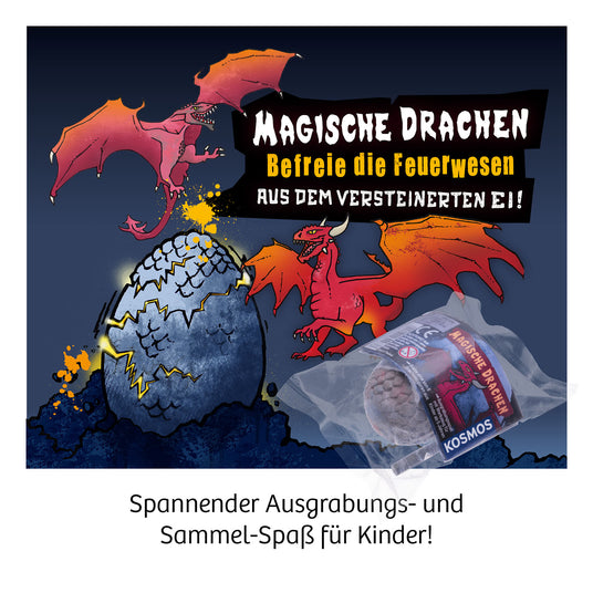 KOSMOS | Drachen-Ausgrabung (24-er Display)